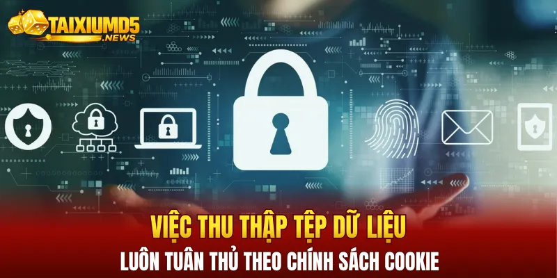 Việc thu thập tệp dữ liệu luôn tuân thủ theo chính sách cookie của nền tảng